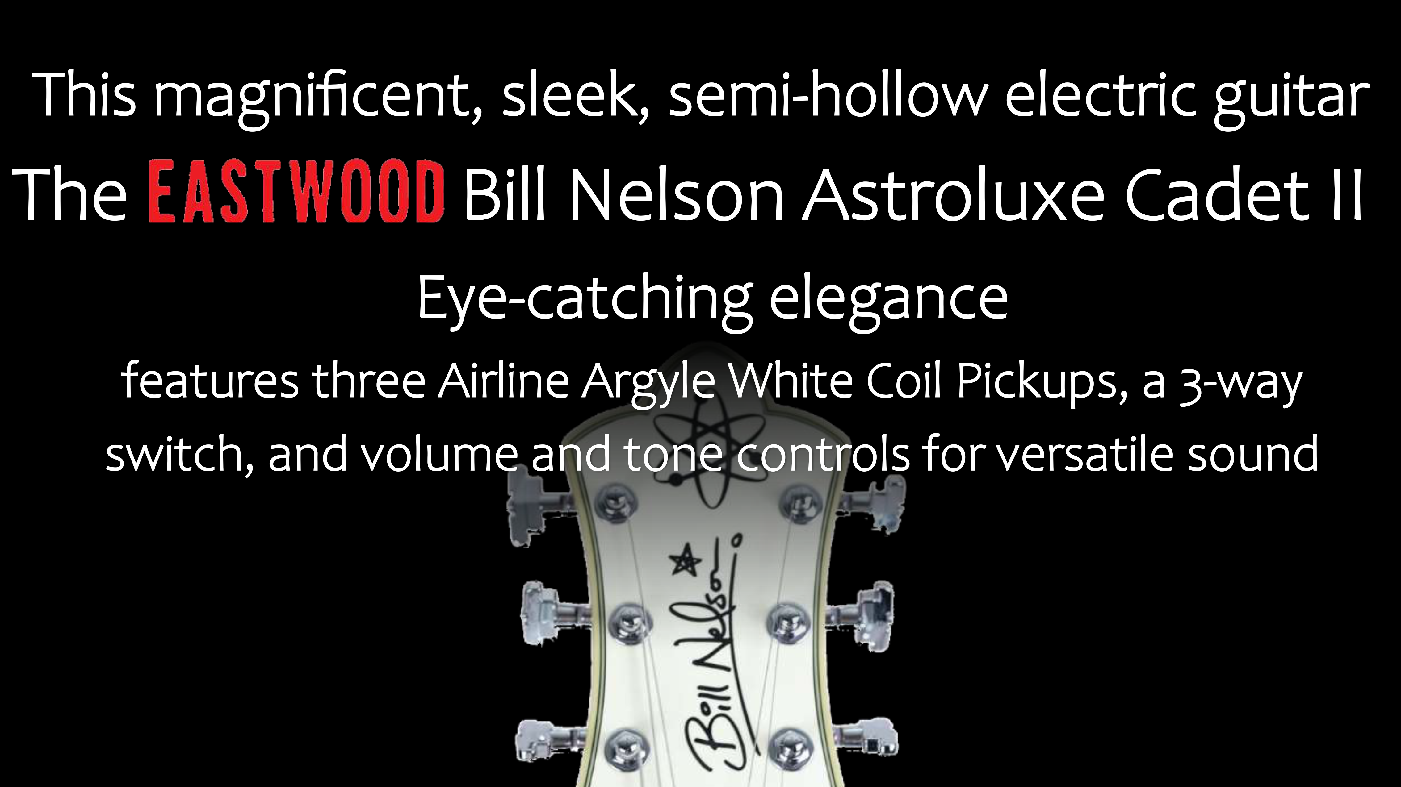 Great Guitar Giveaway FINAL 008